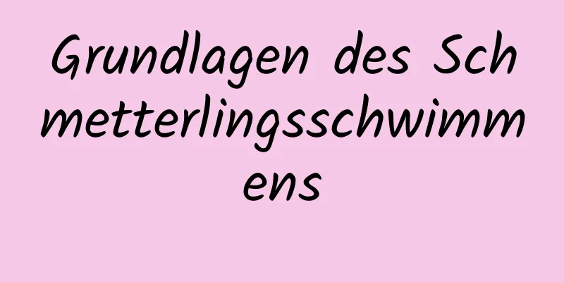 Grundlagen des Schmetterlingsschwimmens