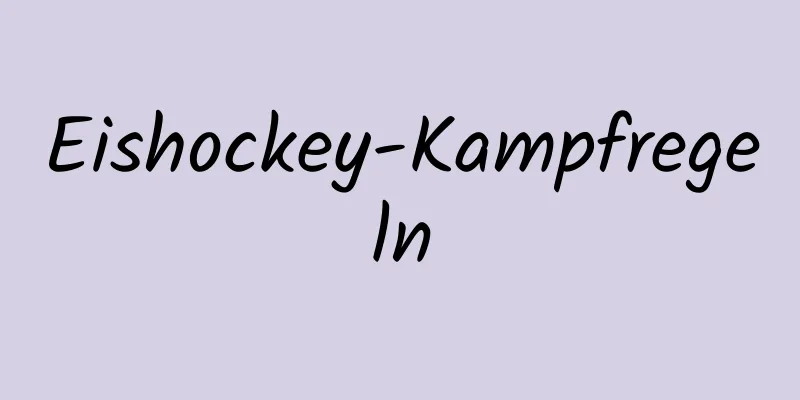 Eishockey-Kampfregeln