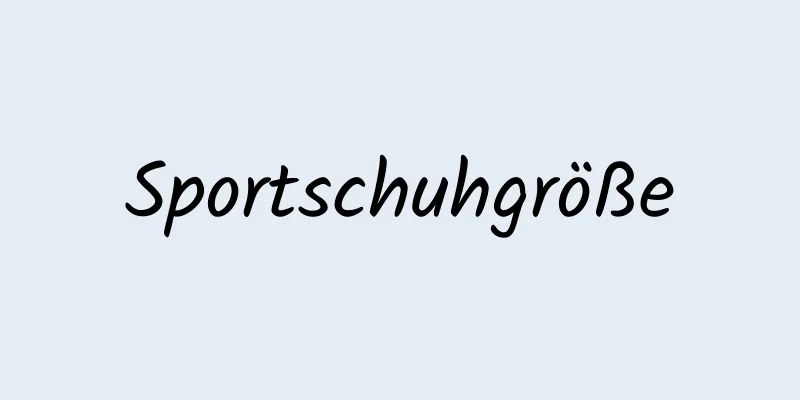 Sportschuhgröße