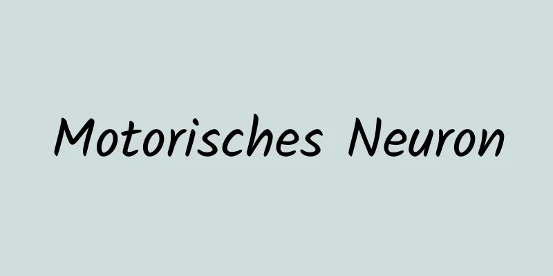 Motorisches Neuron