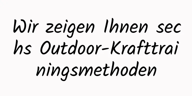 Wir zeigen Ihnen sechs Outdoor-Krafttrainingsmethoden