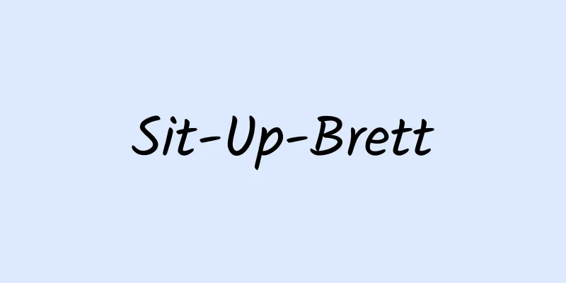 Sit-Up-Brett