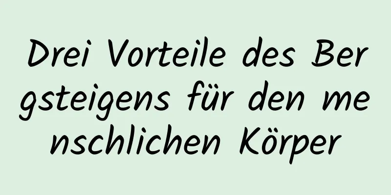 Drei Vorteile des Bergsteigens für den menschlichen Körper