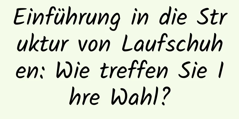 Einführung in die Struktur von Laufschuhen: Wie treffen Sie Ihre Wahl?