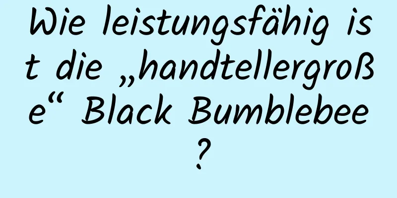 Wie leistungsfähig ist die „handtellergroße“ Black Bumblebee?