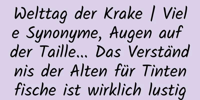 Welttag der Krake | Viele Synonyme, Augen auf der Taille... Das Verständnis der Alten für Tintenfische ist wirklich lustig