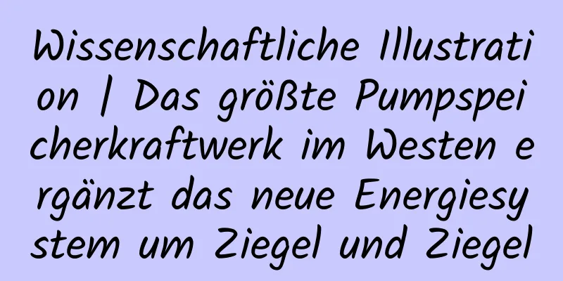 Wissenschaftliche Illustration | Das größte Pumpspeicherkraftwerk im Westen ergänzt das neue Energiesystem um Ziegel und Ziegel