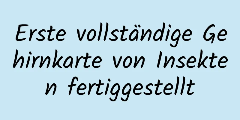 Erste vollständige Gehirnkarte von Insekten fertiggestellt