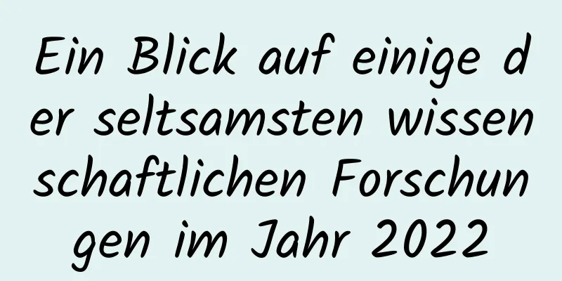 Ein Blick auf einige der seltsamsten wissenschaftlichen Forschungen im Jahr 2022